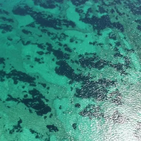 Apartament Trstenica