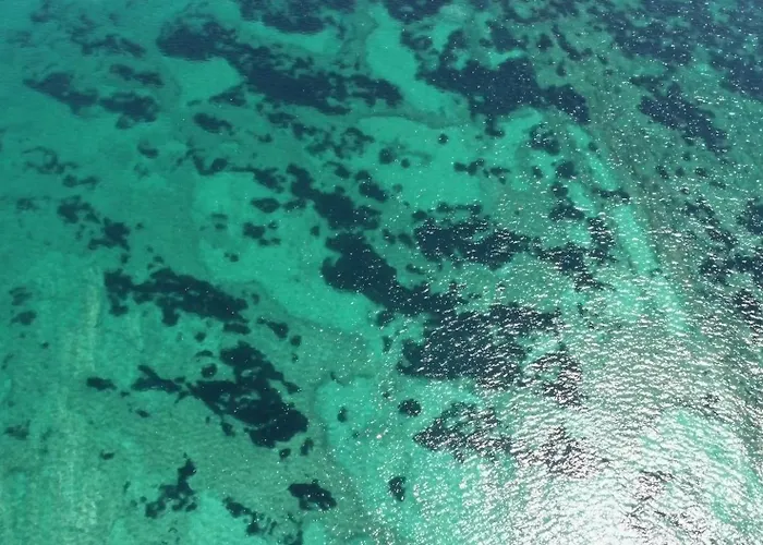 Apartament Trstenica